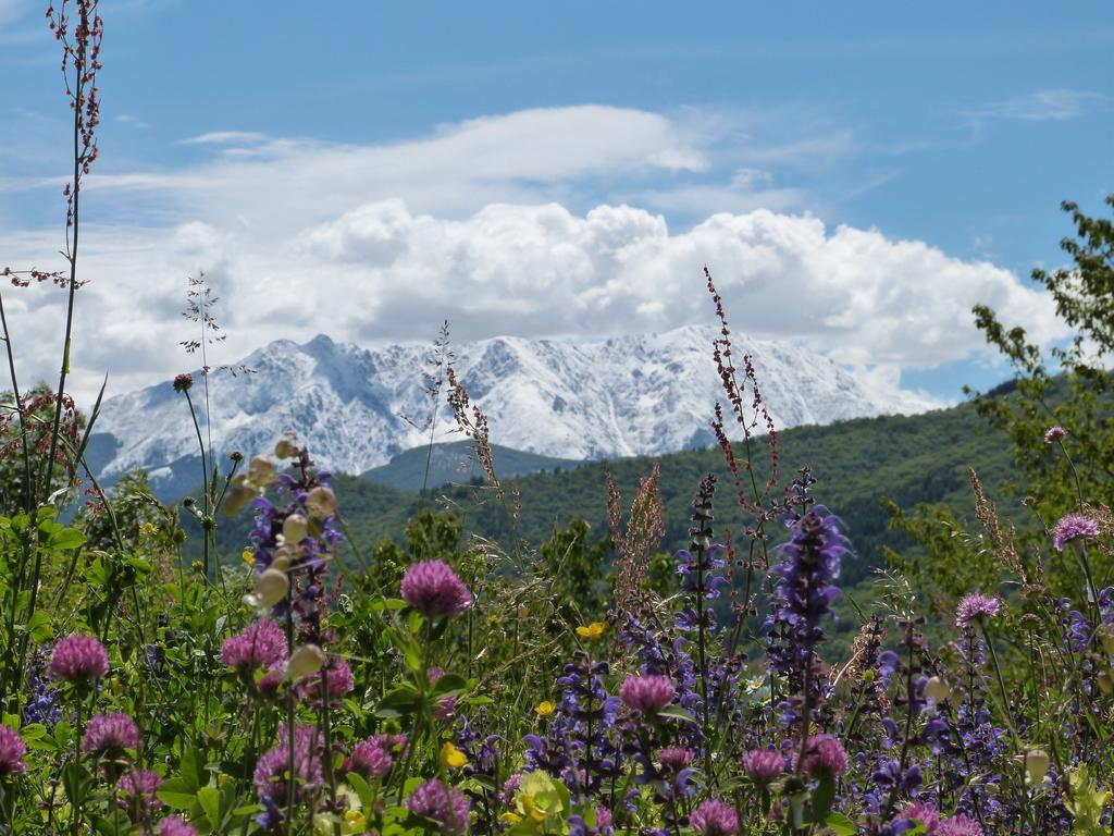 B&B Notte Stellata Gaiola Εξωτερικό φωτογραφία