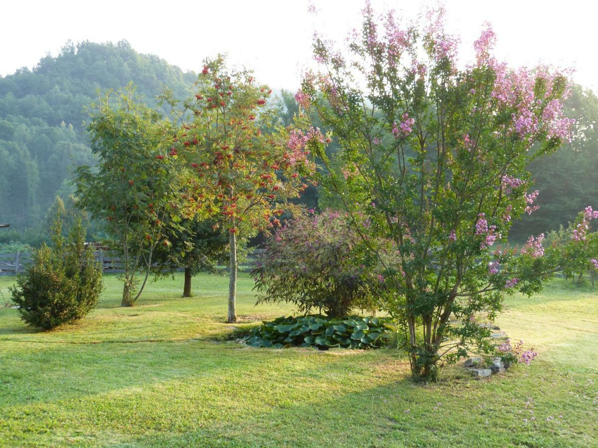 B&B Notte Stellata Gaiola Εξωτερικό φωτογραφία